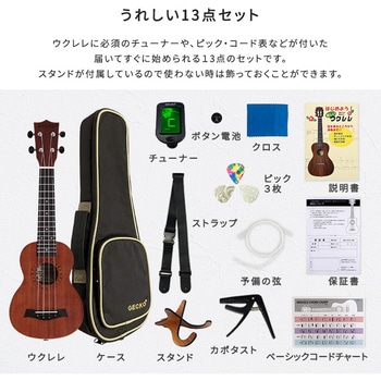初心者でも始めやすい ウクレレ 13点セット 23インチ(コンサート) ホームテイスト