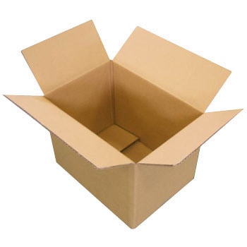 - �_���{�[����(20����) ��㍰ 06544115