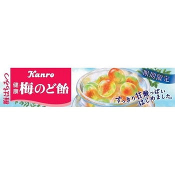カンロ 100 健康梅のど飴 スティック 11粒x10 カンロ