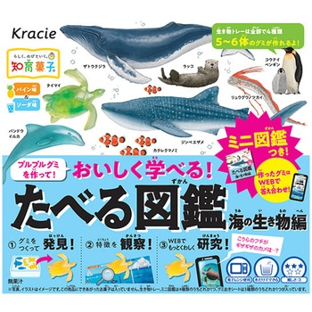 クラシエフーズ たべる図鑑 海の生き物編 13gx5 クラシエ