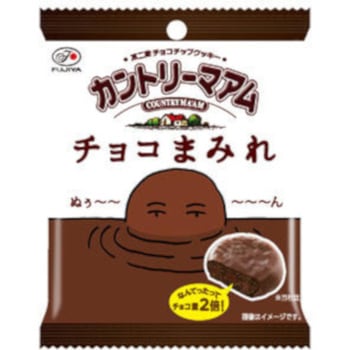 不二家 カントリーマアム チョコまみれ 48gx10 不二家