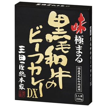 三田屋総本家 黒毛和牛のビーフカレーDX 220gx10 三田屋総本家