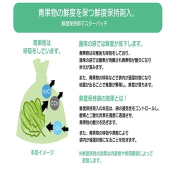鮮度保持袋 M 50枚入 ハウスホールドジャパン