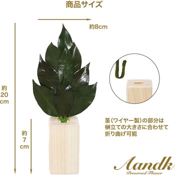ミニS榊 鳥居付き 神棚セット A&K