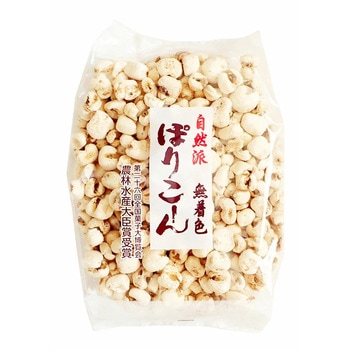 坂金 自然派ポリコーン 160gx12 - 坂金製菓