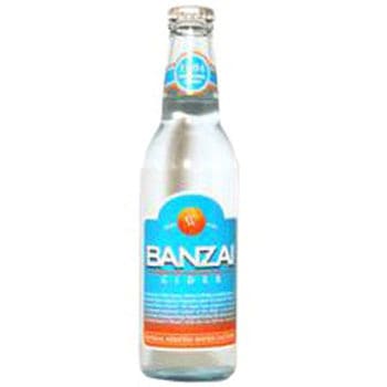 友桝飲料 バンザイサイダー 瓶 330mlx24 友桝飲料