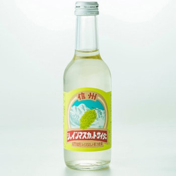 友桝飲料 信州 シャインマスカットサイダー 瓶 245mlx24 友桝飲料