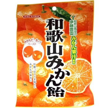 川口 和歌山みかん飴 100gx10 川口製菓