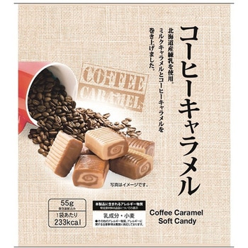 日邦 コーヒーキャラメル 55gx12 日邦製菓