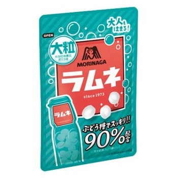 森永製菓 大粒ラムネ 41gx10 森永製菓