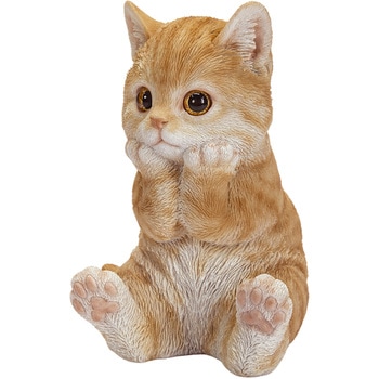 頬杖をつく茶トラ猫 ウービア