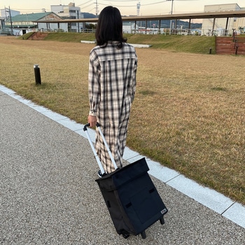 Felio スマートショッピングバッグ エッグホルダー付 富士商