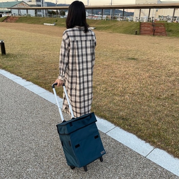 Felio スマートショッピングバッグ エッグホルダー付 富士商