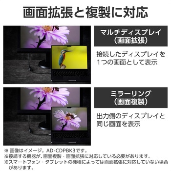 DisplayPort - VGA 変換アダプタ (DPプラグ to ミニD-Sub15pinポート) 最大解像度1920×1200px エレコム