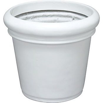 70�^ W �Z���v���X ��a�v���X�`�b�N 77300099