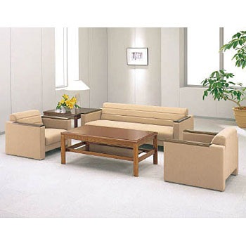 53229  (T-242C) R[i[e[u LION (CI) 06781687