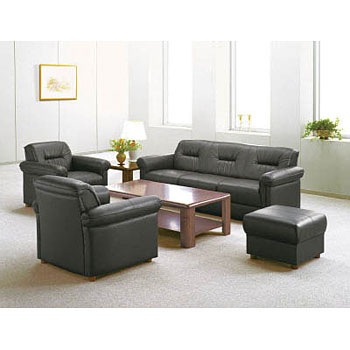 53084  (T-484C) R[i[e[u LION (CI) 06781705