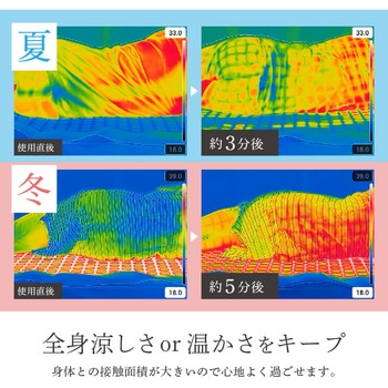 温冷水敷きパッド D's QUALITY
