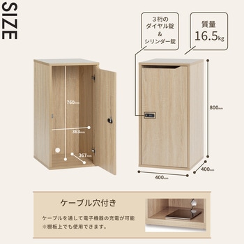 組立式木製収納ロッカー ワイド Asmix(アスカ)
