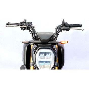 ウインカーランプセット TRL3 219-5196 KIJIMA(キジマ)