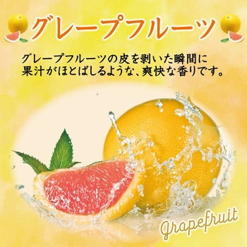 消臭力 トイレ用 エステー