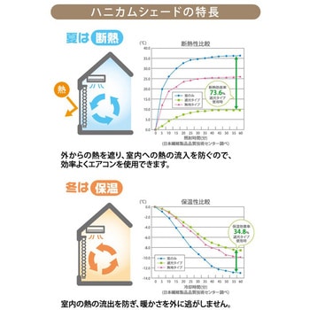 ハニカムブラインド 彩 フルネス