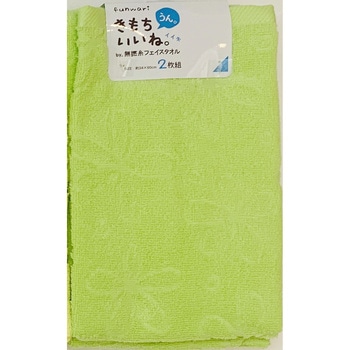 FE432804 ���őI�ׂ� �t�F�C�X�^�I��2���g �ӂ��薳�Q�� �� �O���[���F  1�Z�b�g(2��) FE432804 07281176