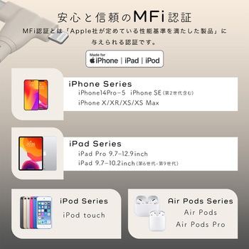 2in1 USB-C to Lightning & USB-C シリコンケーブル スモーキーブラック(MOT-2IN1G100-BK) MOTTERU