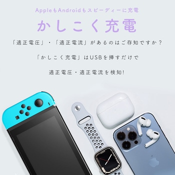PD30W入出力対応 残量表示モバイルバッテリー10，000mAh ペールアイリス 2年保証(MOT-MB10003-EC) MOTTERU