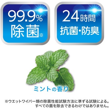 激落ちくん クリンぱ流せるトイレクリーナー 激落ちくん