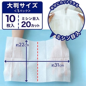 激落ちくん クリンぱ流せるトイレクリーナー 激落ちくん