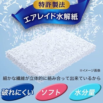 激落ちくん クリンぱ流せるトイレクリーナー 激落ちくん