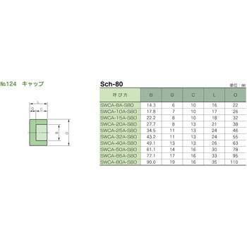 鍛鋼製差し込み溶接式管継手 No.124 キャップ 藤井高圧