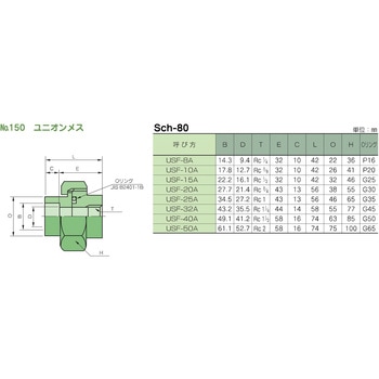 鍛鋼製差し込み溶接式管継手 No.150 ユニオンメス 藤井高圧