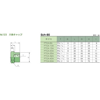 鍛鋼製ねじ込み式管継手 No.123 六角キャップ 藤井高圧