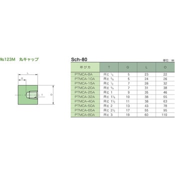 鍛鋼製ねじ込み式管継手 No.123M 丸キャップ 藤井高圧