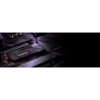 内蔵型SSD T-FORCE Z540 M.2 PCIe 5.0 Team(チーム)
