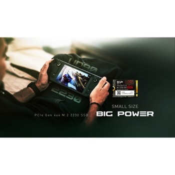 内蔵SSD M.2 PCIe Gen4x4 UD90 2230 シリコンパワー(Silicon Power)