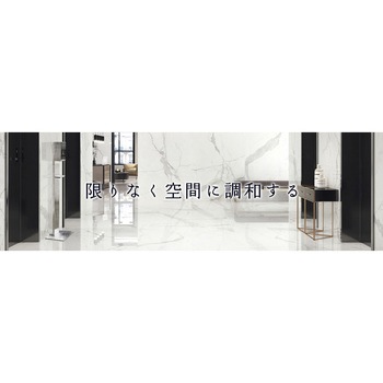 sterilize(ステリライズ) sterilize(ステリライズ)