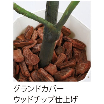 オフィスグリーン 内田洋行