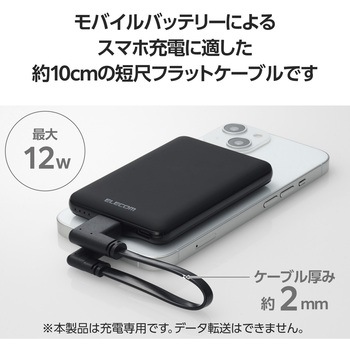 iPhone充電ケーブル (USB-A to ライトニングケーブル) 短い 0.1m L字 フラット MFi認証 エレコム