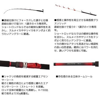 24 アナリスター イカ直結 DAIWA(ダイワ)