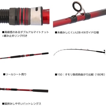 24 アナリスター イカ直結 DAIWA(ダイワ)