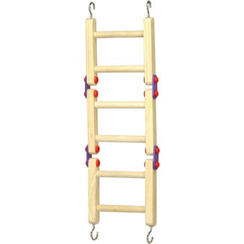 バードトイ ラダー WILD