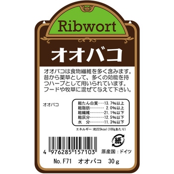 デリスタイル オオバコ WILD