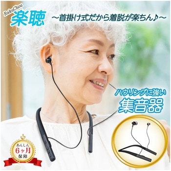 集音器 高齢者 首かけ 使いやすい 充電式 首掛け イヤホン 旅行 充電 しゅうおんき 軽度 中度 楽聴 高音質 首掛け集音器 ベスト・アンサー