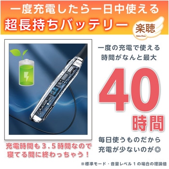 集音器 高齢者 首かけ 使いやすい 充電式 首掛け イヤホン 旅行 充電 しゅうおんき 軽度 中度 楽聴 高音質 首掛け集音器 ベスト・アンサー