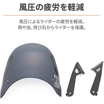 Aerovisor(エアロバイザー) 車種別キット DAYTONA(デイトナ)