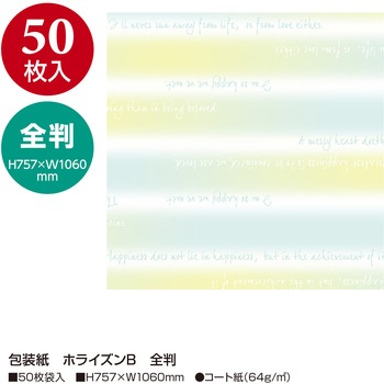 包装紙 ホライズンB 全判 50枚 ササガワ