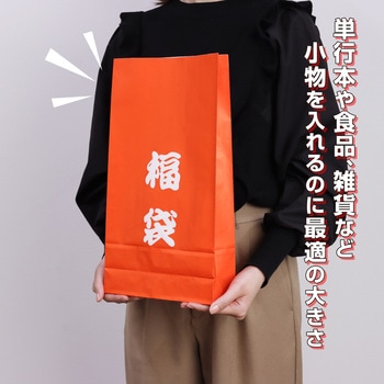 角底袋 福袋 100枚入り - ササガワ